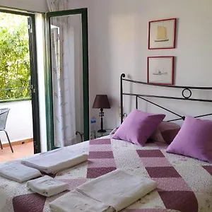  Habitación en casa particular Violeta Palmeres